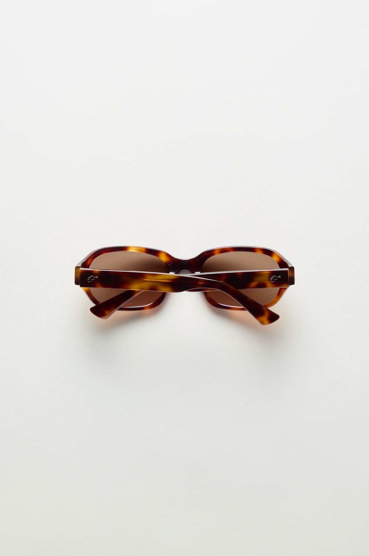 x LEXXOLA Frank Sunglasses - Venice | Frankies Bikinis